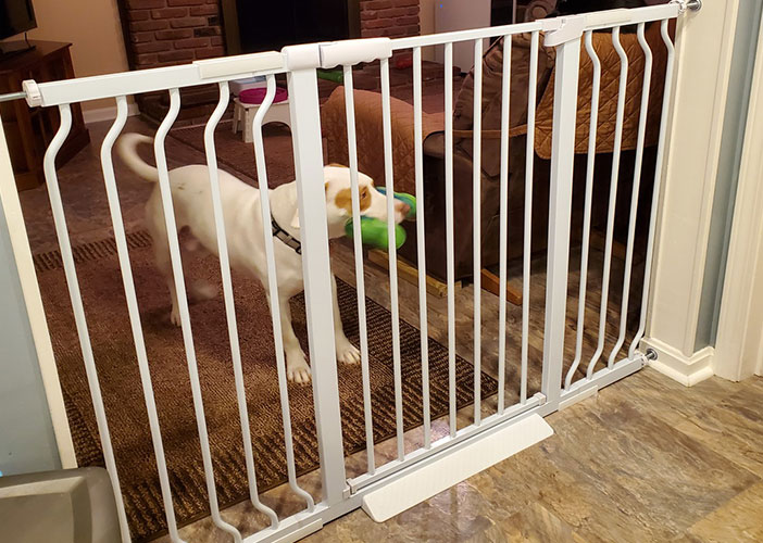 extra tall pet gate